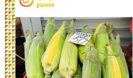 ÐÐ¾Ð²Ð¾Ð¼Ð¾ÑÐºÐ¾Ð²ÑÐºÐ¸Ð¹ ÑÑÐ½Ð¾Ðº ÑÐ°ÑÑÐºÐ°Ð·Ð°Ð» Ð¾ Ð¿Ð¾Ð»ÐµÐ·Ð½ÑÑ ÑÐ²Ð¾Ð¹ÑÑÐ²Ð°Ñ ÐºÑÐºÑÑÑÐ·Ñ