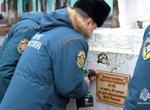 35 сосен — 35 лет МЧС: в Тульской области высадили памятную аллею