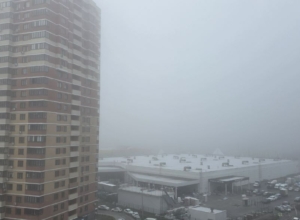 В Тульской области вновь объявили метеопредупреждение из-за густого тумана