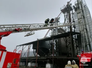 Зерносушилку, «заброшки» и мусорный контейнер потушили тульские спасатели за сутки