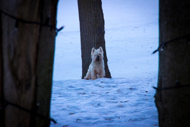 ÐÐ¸Ð¼Ð° Ð¾Ð¿Ð°Ð·Ð´ÑÐ²Ð°ÐµÑ: ÑÐ¸Ð½Ð¾Ð¿ÑÐ¸ÐºÐ¸ ÑÐ°ÑÑÐºÐ°Ð·Ð°Ð»Ð¸, ÐºÐ¾Ð³Ð´Ð° Ð»ÑÐ¶ÐµÑ ÑÐ½ÐµÐ³ Ð² Ð¦ÐµÐ½ÑÑÐ°Ð»ÑÐ½Ð¾Ð¹ Ð Ð¾ÑÑÐ¸Ð¸