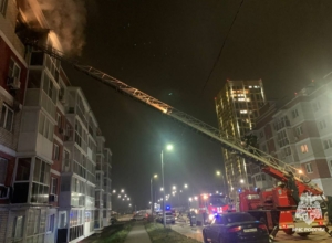 Названа предварительная причина смертельного пожара в тульском поселке Петровском