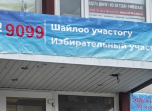 Где в Туле можно проголосовать гражданам Киргизии за своих депутатов