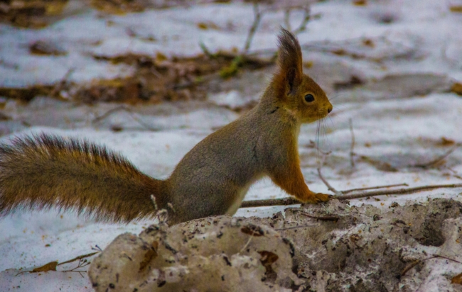 ÐÐµÐºÐ°Ð±ÑÑ Ð² Ð¦ÐµÐ½ÑÑÐ°Ð»ÑÐ½Ð¾Ð¹ Ð Ð¾ÑÑÐ¸Ð¸ Ð±ÑÐ´ÐµÑ Ð°Ð½Ð¾Ð¼Ð°Ð»ÑÐ½Ð¾ ÑÐµÐ¿Ð»ÑÐ¼