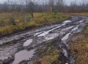 Более пяти лет жители тульского села вынуждены ездить по разбитой дороге