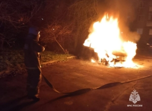 Четыре пожара потушено в Тульской области за сутки. Есть погибшие