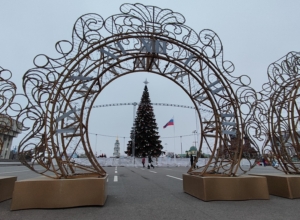 В центре Тулы завершили установку новогодней елки