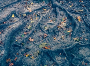 Кое-где зима? Синоптики дали прогноз на неделю для Центральной России