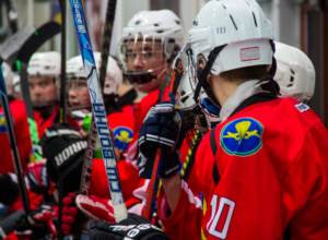 Тульские инвалиды и участники СВО могут бесплатно посетить спортивные мероприятия