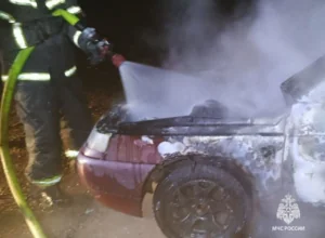 Под Тулой на трассе потушили легковушку