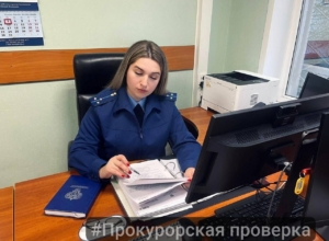 Тульские депутаты не представили полные сведения о доходах и недвижимости