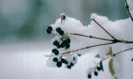 ÐоÑоз и Ñнег до 13 Ñм: ТиÑÐºÐ¾Ð²ÐµÑ Ð¿ÑедÑпÑедил о возвÑаÑении Ð·Ð¸Ð¼Ñ Ð² ЦенÑÑалÑнÑÑ Ð Ð¾ÑÑÐ¸Ñ ÐоÑоз и Ñнег до 13 Ñм: ТиÑÐºÐ¾Ð²ÐµÑ Ð¿ÑедÑпÑедил о возвÑаÑении Ð·Ð¸Ð¼Ñ Ð² ЦенÑÑалÑнÑÑ Ð Ð¾ÑÑиÑ