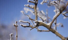 С 2 ÑевÑÐ°Ð»Ñ Ð² ЦенÑÑалÑной РоÑÑии наÑнеÑÑÑ Ñезкое поÑ
олодание С 2 ÑевÑÐ°Ð»Ñ Ð² ЦенÑÑалÑной РоÑÑии наÑнеÑÑÑ Ñезкое поÑ
олодание