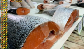 ÐовомоÑковÑкий ÑÑнок пÑиглаÑÐ°ÐµÑ Ð·Ð° Ñвежей ÑÑбой ÐовомоÑковÑкий ÑÑнок пÑиглаÑÐ°ÐµÑ Ð·Ð° Ñвежей ÑÑбой