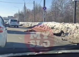 СмеÑÑелÑное ÐТРна Ð ÑзанÑкой: в ТÑле Ñбили пеÑеÑ
ода СмеÑÑелÑное ÐТРна Ð ÑзанÑкой: в ТÑле Ñбили пеÑеÑ
ода