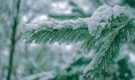 РТÑлÑÑкой облаÑÑи ожидаÑÑÑÑ Ð°Ð½Ð¾Ð¼Ð°Ð»ÑнÑе моÑÐ¾Ð·Ñ 5 и 6 ÑевÑÐ°Ð»Ñ Ð Ð¢ÑлÑÑкой облаÑÑи ожидаÑÑÑÑ Ð°Ð½Ð¾Ð¼Ð°Ð»ÑнÑе моÑÐ¾Ð·Ñ 5 и 6 ÑевÑалÑ