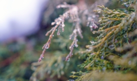 ÐеÑеоÑологиÑеÑÐºÐ°Ñ Ð²ÐµÑна в ЦенÑÑалÑной РоÑÑии наÑÑÑÐ¿Ð¸Ñ Ð¿Ð¾Ñле 21 маÑÑа ÐеÑеоÑологиÑеÑÐºÐ°Ñ Ð²ÐµÑна в ЦенÑÑалÑной РоÑÑии наÑÑÑÐ¿Ð¸Ñ Ð¿Ð¾Ñле 21 маÑÑа