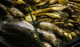 Ðз 3 кг маÑлÑной ÑÑÐ±Ñ Ð¿Ñоизвели 50 кг ÑоÑели: на ÑÑлÑÑком комбинаÑе наÑли наÑÑÑÐµÐ½Ð¸Ñ Ðз 3 кг маÑлÑной ÑÑÐ±Ñ Ð¿Ñоизвели 50 кг ÑоÑели: на ÑÑлÑÑком комбинаÑе наÑли наÑÑÑениÑ