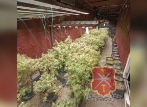 ÐаÑкопиÑомник в моÑÑком конÑейнеÑе: под ТÑлой задеÑжали двоиÑ
недоÑеÑмеÑов ÐаÑкопиÑомник в моÑÑком конÑейнеÑе: под ТÑлой задеÑжали двоиÑ
недоÑеÑмеÑов