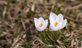 ÐеÑвомай не бÑÐ´ÐµÑ ÑеплÑм: Ñ
олода задеÑжаÑÑÑ Ð² ЦенÑÑалÑной РоÑÑии до конÑа апÑÐµÐ»Ñ ÐеÑвомай не бÑÐ´ÐµÑ ÑеплÑм: Ñ
олода задеÑжаÑÑÑ Ð² ЦенÑÑалÑной РоÑÑии до конÑа апÑелÑ