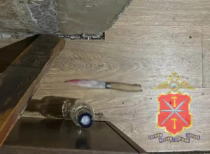 ÐоÑиделки ÑожиÑелей в ÐовомоÑковÑке законÑилиÑÑ Ð½Ð¾Ð¶ÐµÐ²Ñм Ñанением ÐоÑиделки ÑожиÑелей в ÐовомоÑковÑке законÑилиÑÑ Ð½Ð¾Ð¶ÐµÐ²Ñм Ñанением