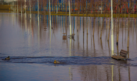 ÐÑи наÑеленнÑе пÑнкÑÑ Ð¼Ð¾Ð³ÑÑ Ð¾ÑÑаÑÑÑÑ Ð±ÐµÐ· доÑог. ÐÑо в зоне ÑиÑка по Ð¿Ð°Ð²Ð¾Ð´ÐºÑ ÐÑи наÑеленнÑе пÑнкÑÑ Ð¼Ð¾Ð³ÑÑ Ð¾ÑÑаÑÑÑÑ Ð±ÐµÐ· доÑог. ÐÑо в зоне ÑиÑка по паводкÑ