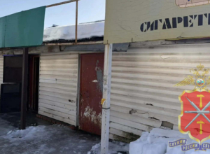 «ÐонÑеÑÑ» Ð´Ð»Ñ Ð²Ð·ÑоÑлÑÑ
: в ÐовомоÑковÑке в магазине ÑладоÑÑей ÑоÑговали ÑигаÑеÑами без акÑизов «ÐонÑеÑÑ» Ð´Ð»Ñ Ð²Ð·ÑоÑлÑÑ
: в ÐовомоÑковÑке в магазине ÑладоÑÑей ÑоÑговали ÑигаÑеÑами без акÑизов