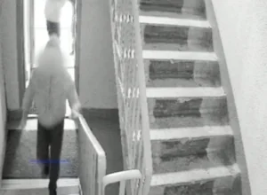 ÐодÑоÑÑки-ÑкÑÑÑемиÑÑÑ Ð² ТÑле жеÑÑоко ÑаÑпÑавилиÑÑ Ñ Ð¸Ð½Ð²Ð°Ð»Ð¸Ð´Ð¾Ð¼. Ðело пеÑедано в ÑÑд ÐодÑоÑÑки-ÑкÑÑÑемиÑÑÑ Ð² ТÑле жеÑÑоко ÑаÑпÑавилиÑÑ Ñ Ð¸Ð½Ð²Ð°Ð»Ð¸Ð´Ð¾Ð¼. Ðело пеÑедано в ÑÑд