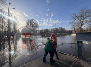 Ðеда Ð´Ð»Ñ Ð±Ð°Ð±ÑÑки и ÑадоÑÑÑ Ð´Ð»Ñ ÑÑок: в ТÑле заÑопило ÐаÑаÑевÑкий Ñад Ðеда Ð´Ð»Ñ Ð±Ð°Ð±ÑÑки и ÑадоÑÑÑ Ð´Ð»Ñ ÑÑок: в ТÑле заÑопило ÐаÑаÑевÑкий Ñад