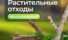 ÐÐР«ÐСÐ-ÐТ»: ÑкладиÑование веÑок и дÑÑгиÑ
ÑаÑÑиÑелÑнÑÑ
оÑÑ
одов на конÑейнеÑнÑÑ
плоÑадкаÑ
ÑвлÑеÑÑÑ Ð½Ð°ÑÑÑением закона ÐÐР«ÐСÐ-ÐТ»: ÑкладиÑование веÑок и дÑÑгиÑ
ÑаÑÑиÑелÑнÑÑ
оÑÑ
одов на конÑейнеÑнÑÑ
плоÑадкаÑ
ÑвлÑеÑÑÑ Ð½Ð°ÑÑÑением закона