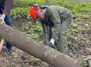 ÐмиÑÑий ÐилÑев Ñ Ð±ÐµÐ½Ð·Ð¾Ð¿Ð¸Ð»Ð¾Ð¹ в ÑÑкаÑ
обÑезал деÑевÑÑ Ð½Ð° ÑÑббоÑнике в ТÑле ÐмиÑÑий ÐилÑев Ñ Ð±ÐµÐ½Ð·Ð¾Ð¿Ð¸Ð»Ð¾Ð¹ в ÑÑкаÑ
обÑезал деÑевÑÑ Ð½Ð° ÑÑббоÑнике в ТÑле