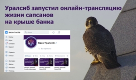 УÑалÑиб запÑÑÑил онлайн-ÑÑанÑлÑÑÐ¸Ñ Ð¶Ð¸Ð·Ð½Ð¸ ÑапÑанов на кÑÑÑе банка УÑалÑиб запÑÑÑил онлайн-ÑÑанÑлÑÑÐ¸Ñ Ð¶Ð¸Ð·Ð½Ð¸ ÑапÑанов на кÑÑÑе банка