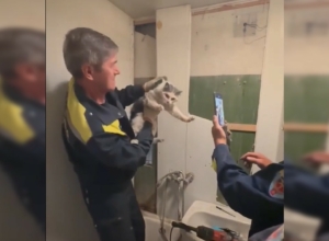 РТÑле ÑпаÑли коÑа, коÑоÑÑй заÑÑÑÑл в венÑилÑÑии многоÑÑажки на ÑлиÑе Ðожевой РТÑле ÑпаÑли коÑа, коÑоÑÑй заÑÑÑÑл в венÑилÑÑии многоÑÑажки на ÑлиÑе Ðожевой