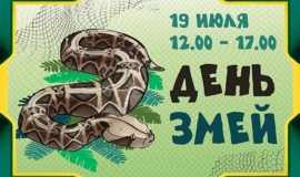 РогаÑÐ°Ñ Ð³Ð°Ð´Ñка и пиÑон Чейни: в ТÑлÑÑком ÑкзоÑаÑиÑме поÑвилоÑÑ ÑÑи новÑÑ
вида змей РогаÑÐ°Ñ Ð³Ð°Ð´Ñка и пиÑон Чейни: в ТÑлÑÑком ÑкзоÑаÑиÑме поÑвилоÑÑ ÑÑи новÑÑ
вида змей