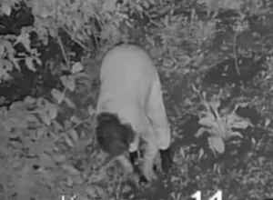 Ðод окнами ÐÐРв ТÑле женÑина ÑкÑала гоÑÑензии и попала на видео. ÐÑоводиÑÑÑ Ð¿ÑовеÑка Ðод окнами ÐÐРв ТÑле женÑина ÑкÑала гоÑÑензии и попала на видео. ÐÑоводиÑÑÑ Ð¿ÑовеÑка