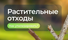ÐеÑкам и боÑве не меÑÑо на конÑейнеÑнÑÑ
плоÑадкаÑ
ÐеÑкам и боÑве не меÑÑо на конÑейнеÑнÑÑ
плоÑадкаÑ