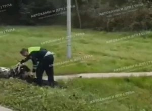 ÐÑÑалÑÑ ÑдÑаÑÑ, но Ñпал. РТÑле инÑпекÑоÑÑ ÐÐС поймали Ñного пиÑбайкеÑа ÐÑÑалÑÑ ÑдÑаÑÑ, но Ñпал. РТÑле инÑпекÑоÑÑ ÐÐС поймали Ñного пиÑбайкеÑа