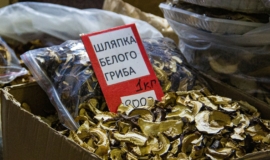 ТÑлÑкам ÑаÑÑказали, какие оÑенние гÑÐ¸Ð±Ñ Ð»ÑÑÑе обÑ
одиÑÑ ÑÑоÑоной ТÑлÑкам ÑаÑÑказали, какие оÑенние гÑÐ¸Ð±Ñ Ð»ÑÑÑе обÑ
одиÑÑ ÑÑоÑоной