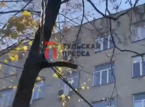 Снова вÑпÑÑ
неÑ? ТÑлÑки опаÑаÑÑÑÑ Ð¿Ð¾Ð²ÑоÑного пожаÑа в ТЦ «ÐагиÑÑÑалÑ» из-за кабелей на деÑевÑÑÑ
Снова вÑпÑÑ
неÑ? ТÑлÑки опаÑаÑÑÑÑ Ð¿Ð¾Ð²ÑоÑного пожаÑа в ТЦ «ÐагиÑÑÑалÑ» из-за кабелей на деÑевÑÑÑ